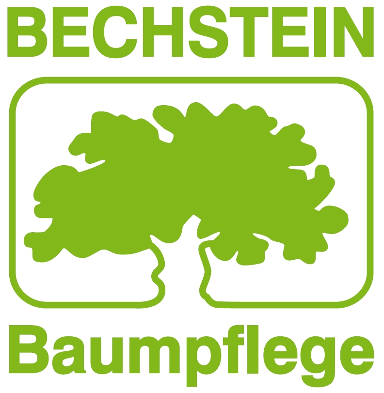 BECHSTEIN Logo
