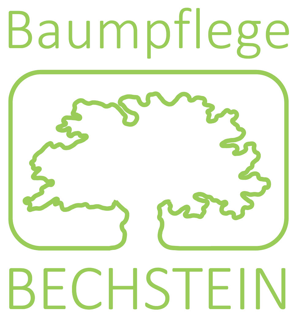 Logo der Frank Bechstein Baumpflege GmbH